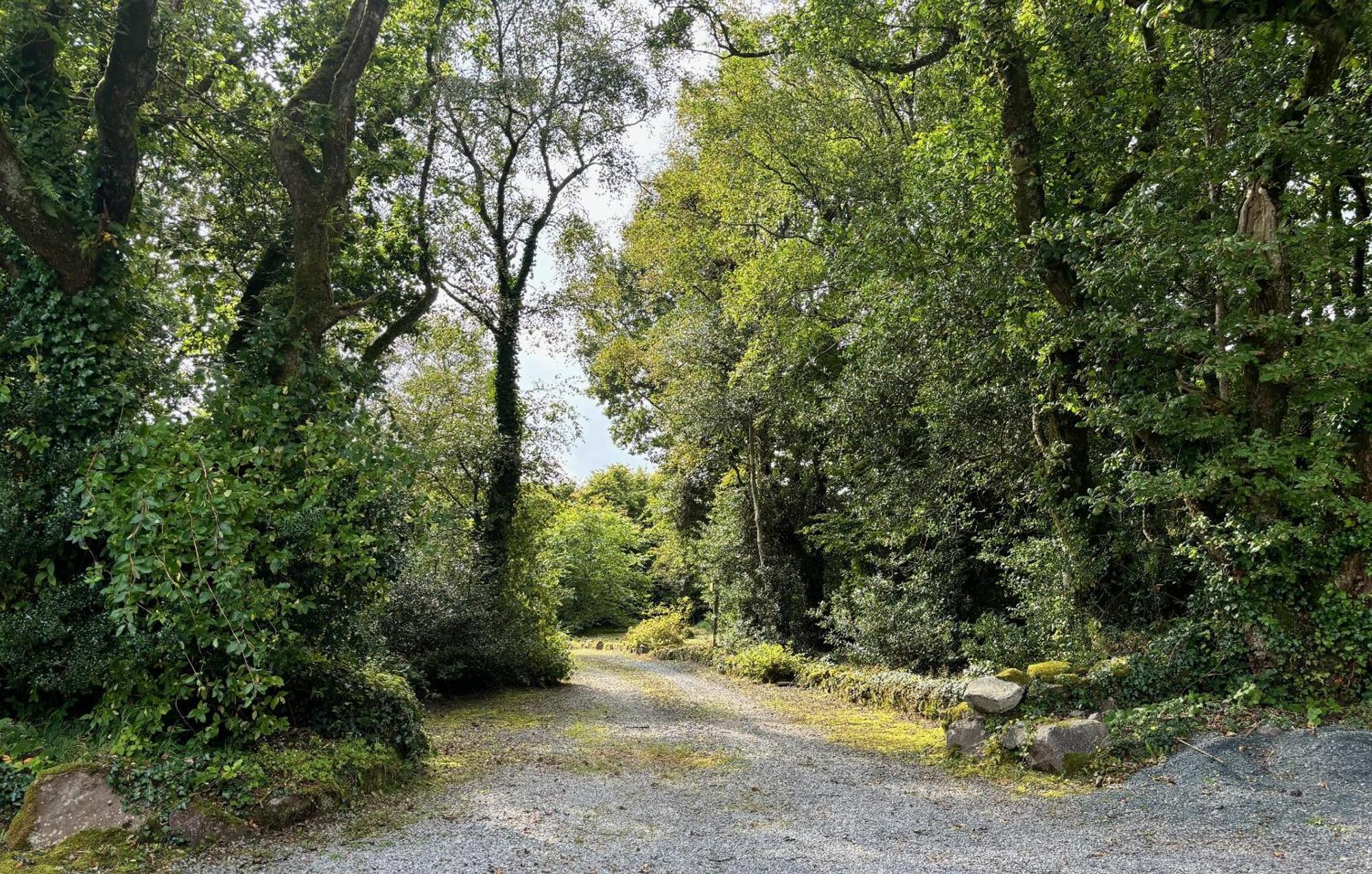 Sligo Forest Retreat מראה חיצוני תמונה
