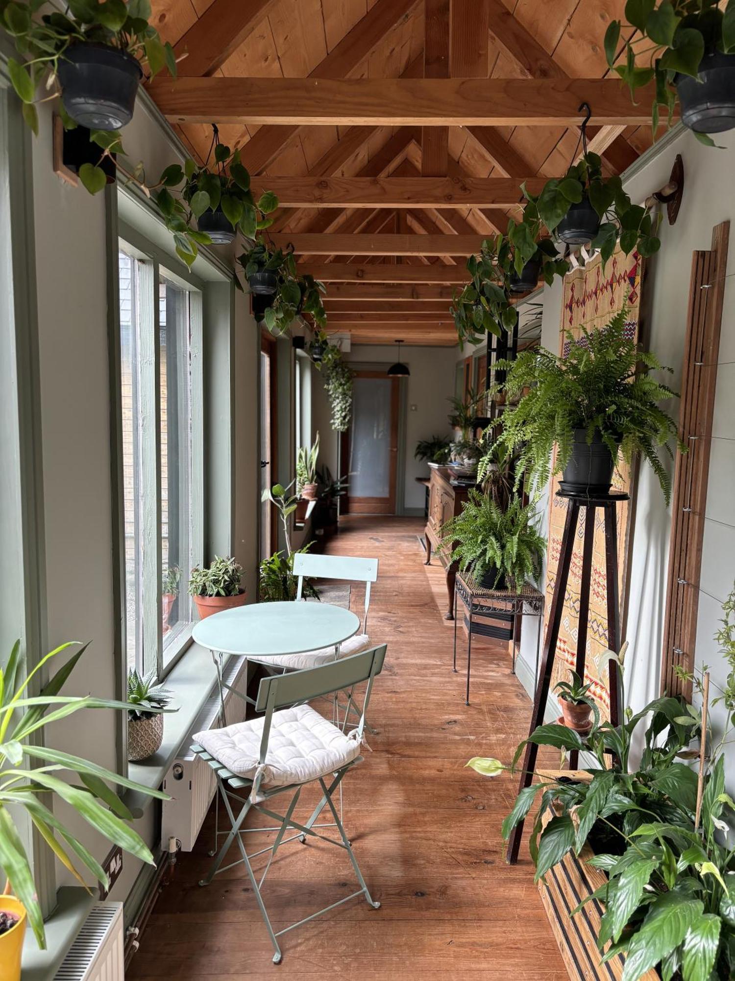 Sligo Forest Retreat מראה חיצוני תמונה