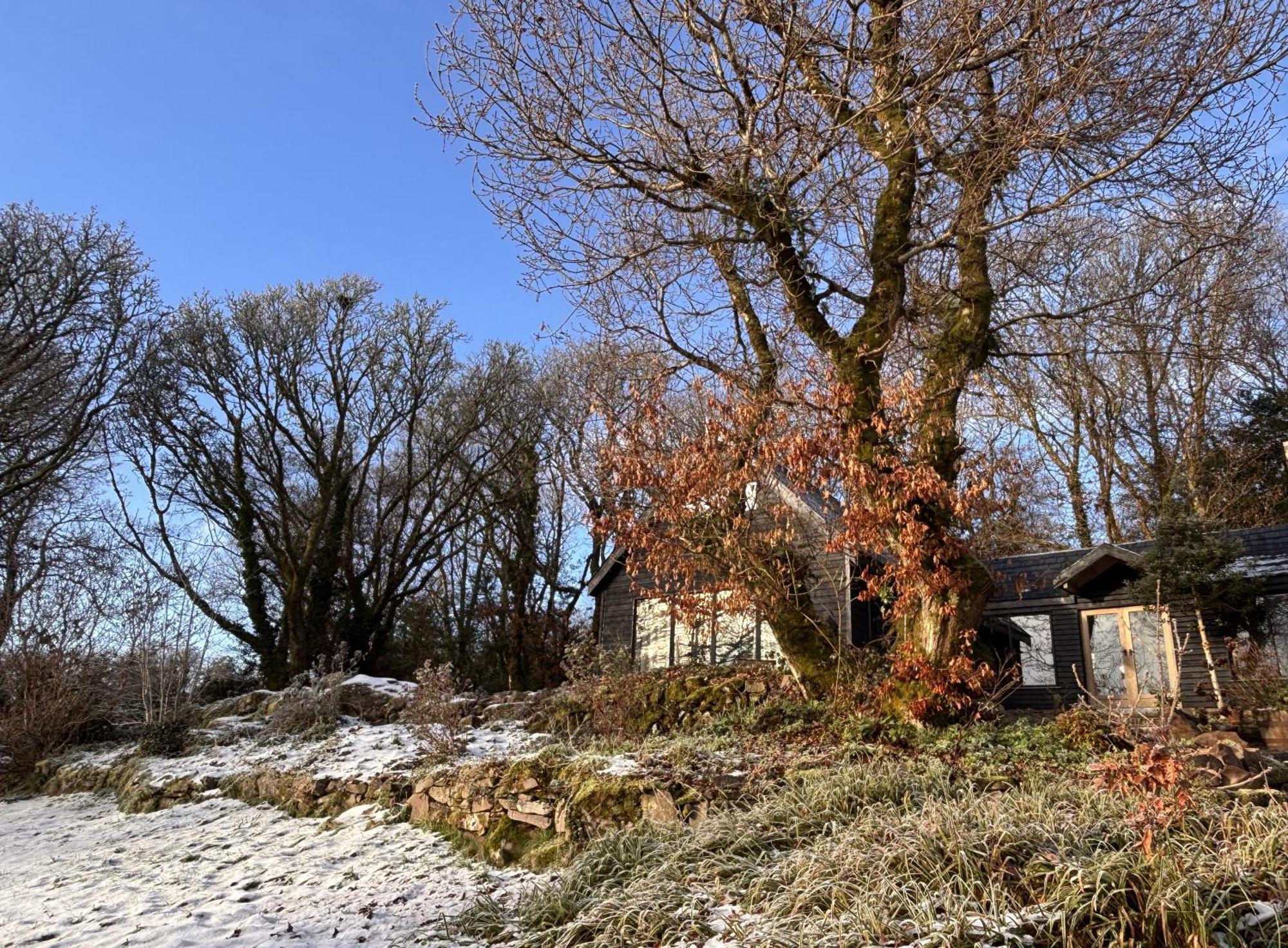 Sligo Forest Retreat מראה חיצוני תמונה